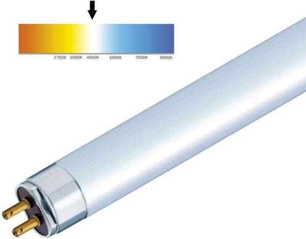T8 LED tube light, 1500mm, 4000K