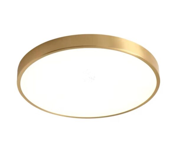 Standard 20W Brass Bulkhead Light | 3000K-6000K | - Image 3