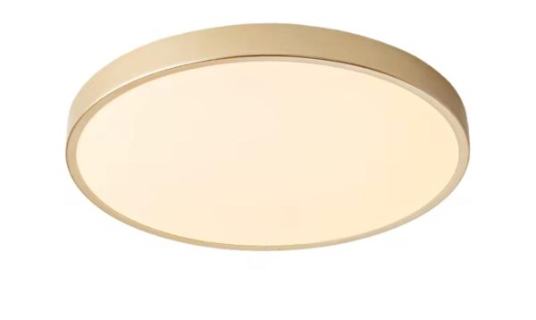 Standard 20W Brass Bulkhead Light | 3000K-6000K | - Image 2